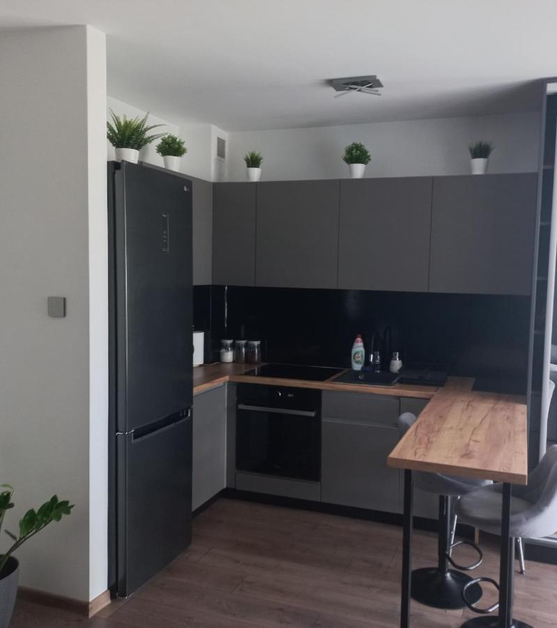 Апартаменти Apartament Plater Прущ-Ґданьскі Екстер'єр фото