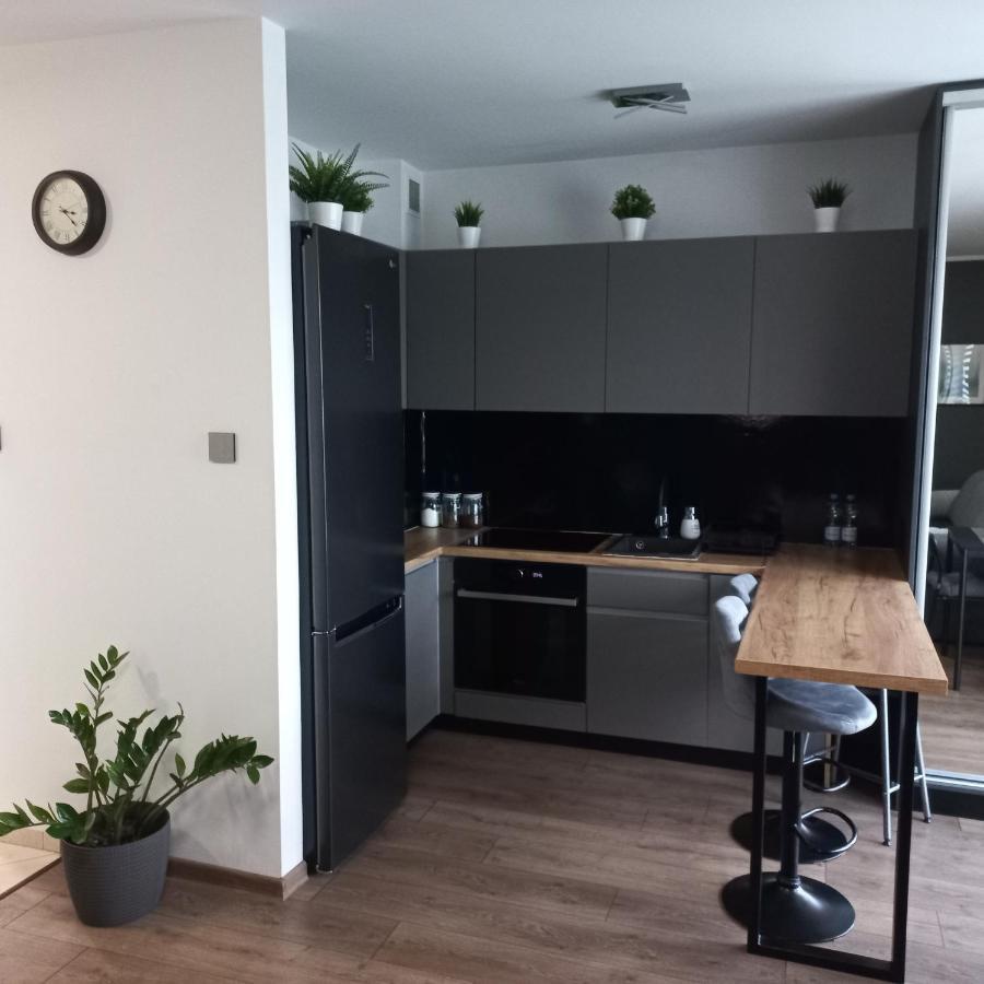 Апартаменти Apartament Plater Прущ-Ґданьскі Екстер'єр фото